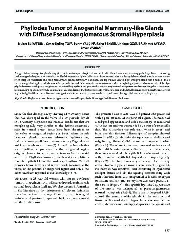 (PDF) Phyllodes Tumor of Anogenital Mammary-like Glands with Diffuse ...
