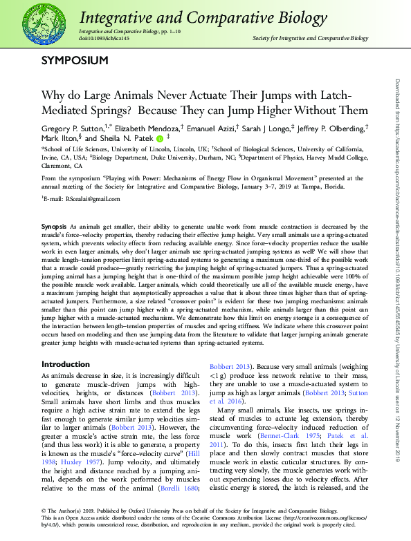 (PDF) Why do Large Animals Never Actuate Their Jumps with Latch ...
