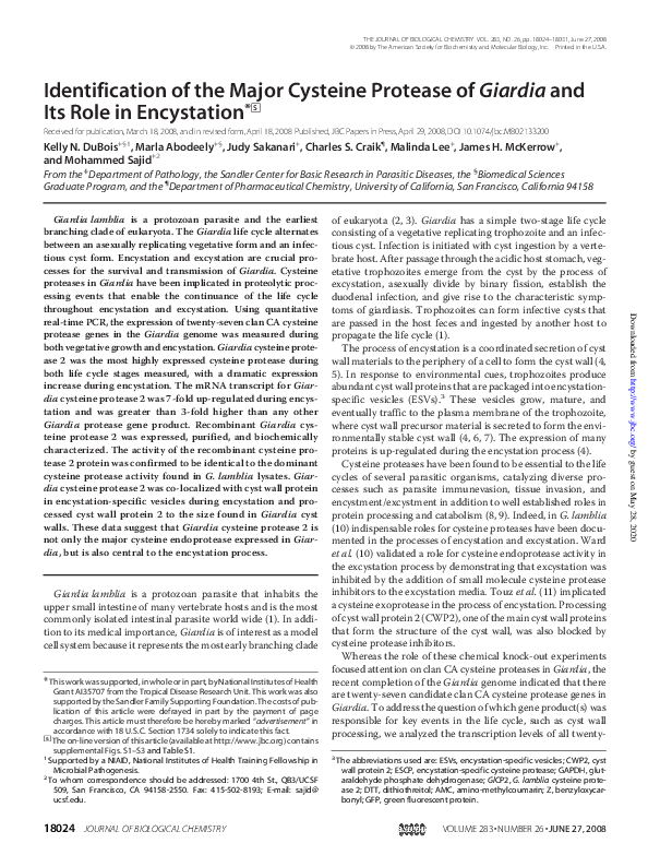 (PDF) Identification of the Major Cysteine Protease of Giardia and Its ...