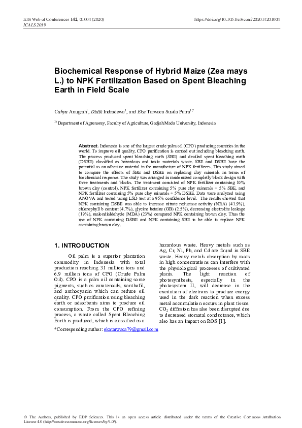 (PDF) Biochemical Response of Hybrid Maize (Zea mays L.) to NPK ...