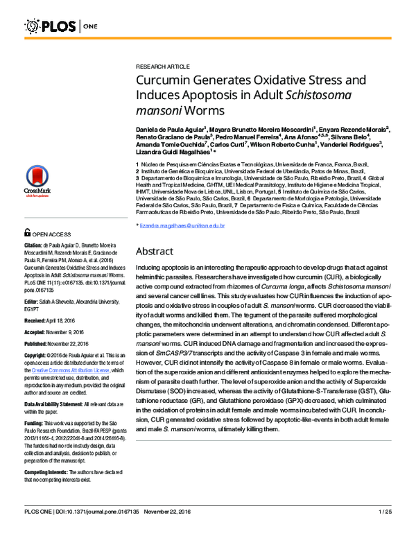 (PDF) Curcumin Generates Oxidative Stress and Induces Apoptosis in ...