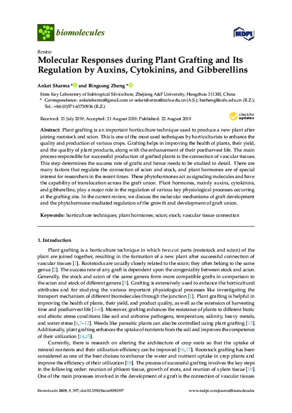 (PDF) Molecular Responses during Plant Grafting and Its Regulation by ...
