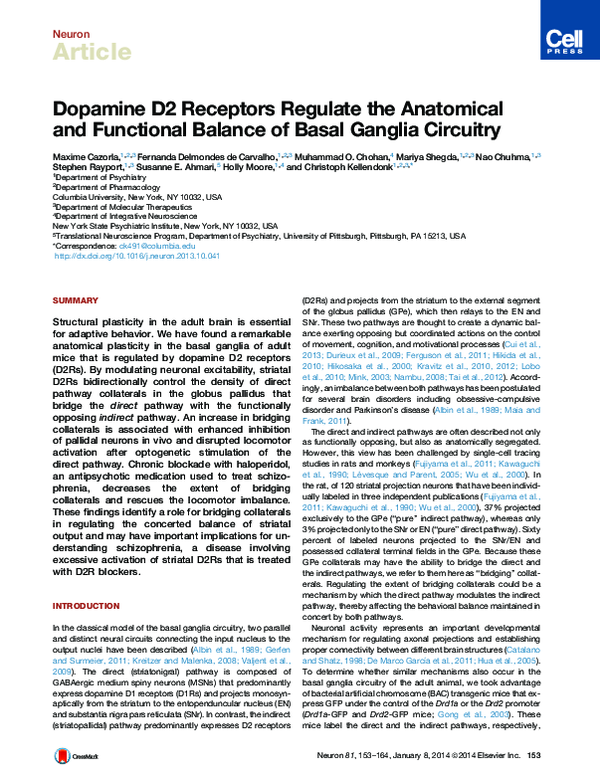  PDF Dopamine D2 Receptors Regulate The Anatomical And Functional 