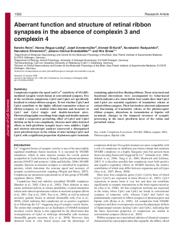 (PDF) Aberrant function and structure of retinal ribbon synapses in the ...