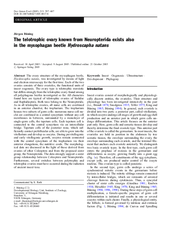 (PDF) The telotrophic ovary known from Neuropterida exists also in the ...