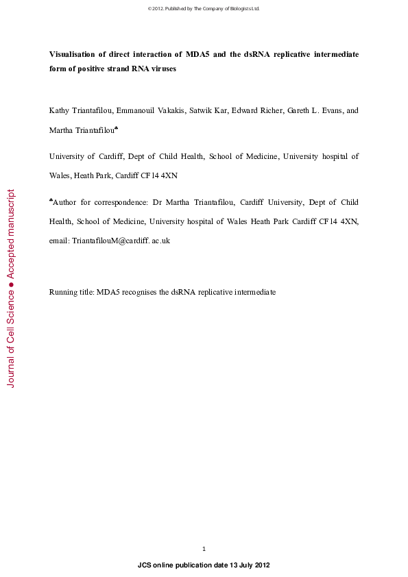 (PDF) Visualisation of direct interaction of MDA5 and the dsRNA ...