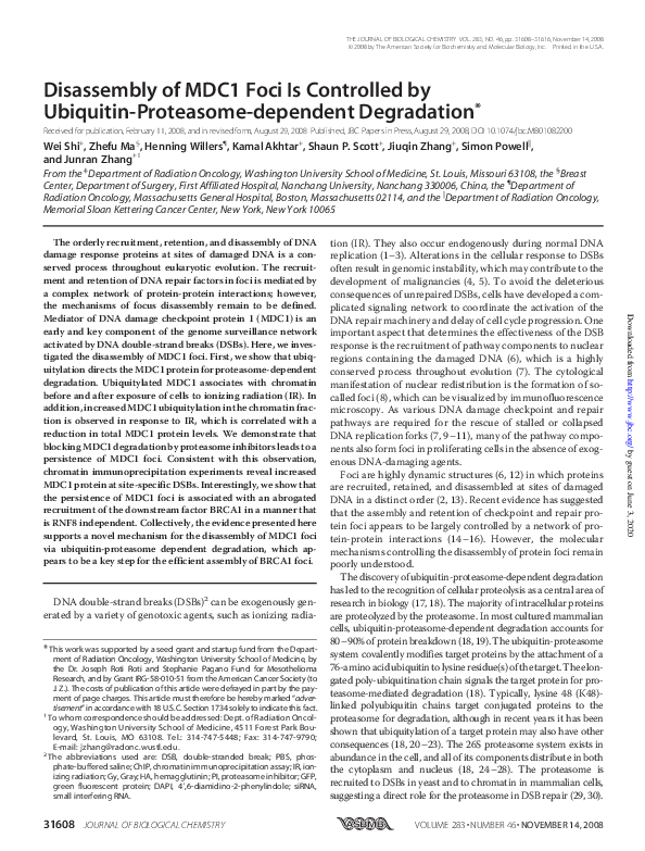(PDF) Disassembly of MDC1 Foci Is Controlled by Ubiquitin-Proteasome ...