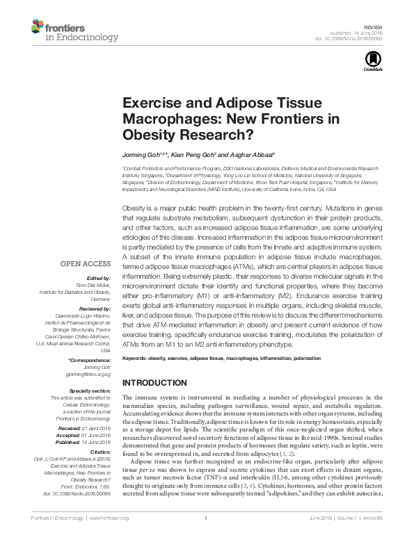 (PDF) Exercise and Adipose Tissue Macrophages: New Frontiers in Obesity ...
