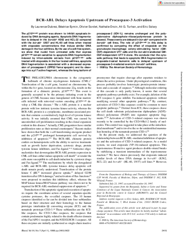 (PDF) BCR-ABL delays apoptosis upstream of procaspase-3 activation