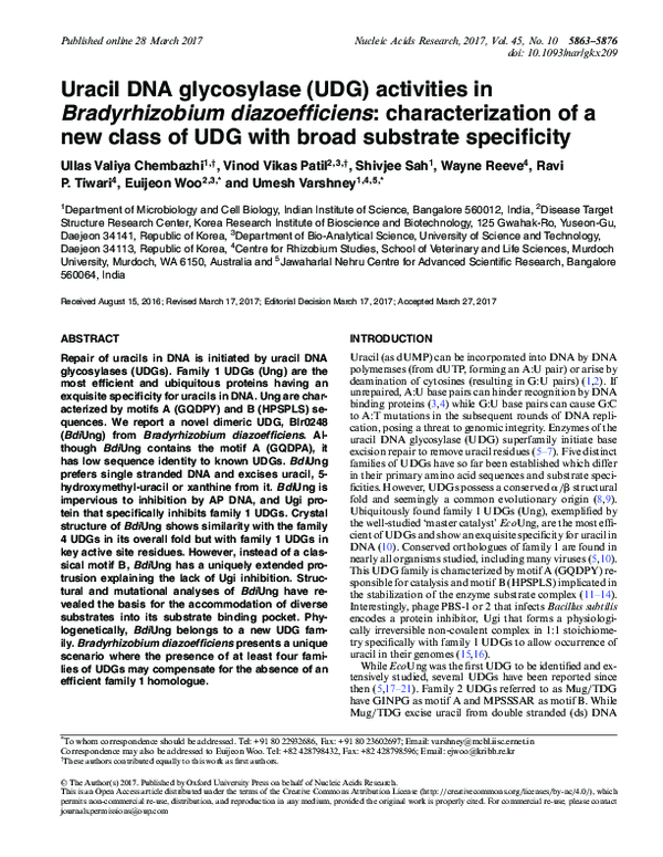 (PDF) Uracil DNA glycosylase (UDG) activities in Bradyrhizobium ...