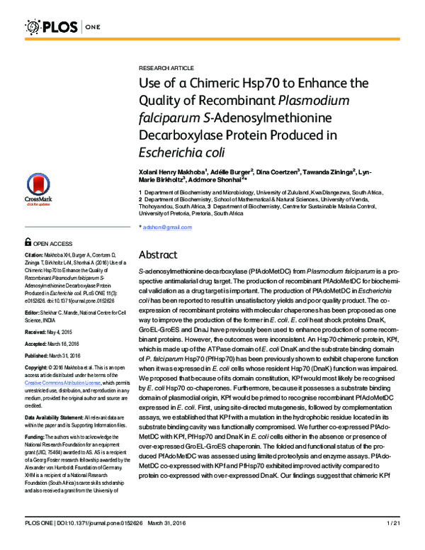 (PDF) Use of a Chimeric Hsp70 to Enhance the Quality of Recombinant ...