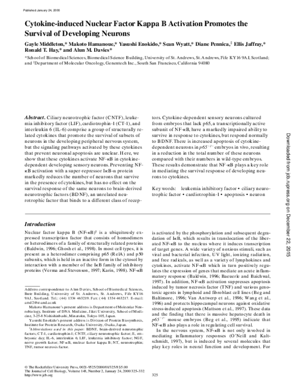 (PDF) Cytokine-induced Nuclear Factor Kappa B Activation Promotes the ...