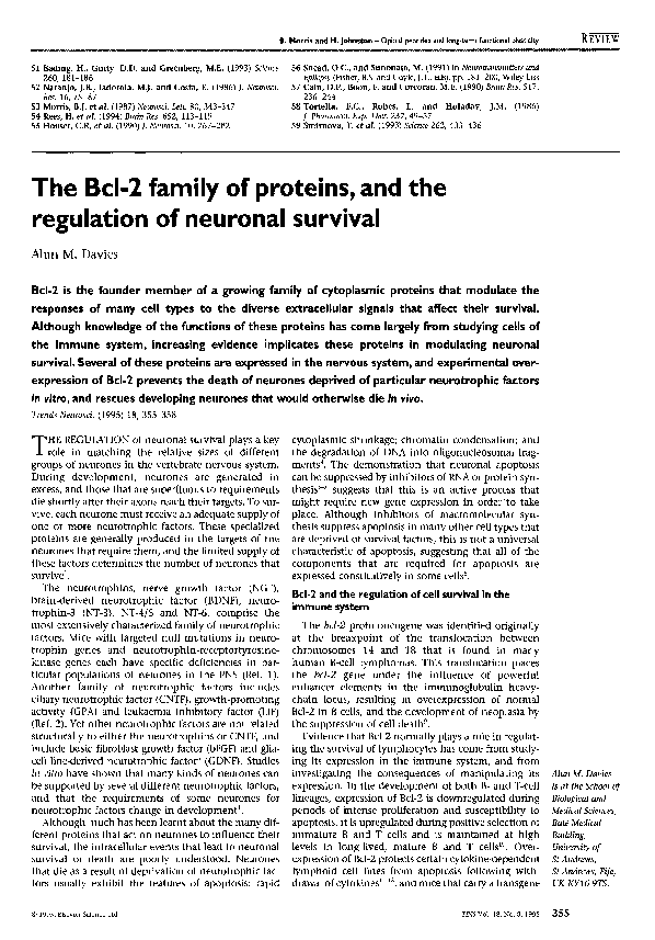 (PDF) The Bcl-2 family of proteins, and the regulation of neuronal survival