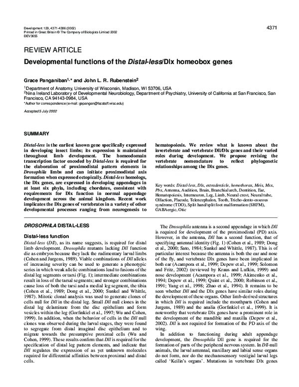 (PDF) Developmental functions of the Distal-less/Dlx homeobox genes