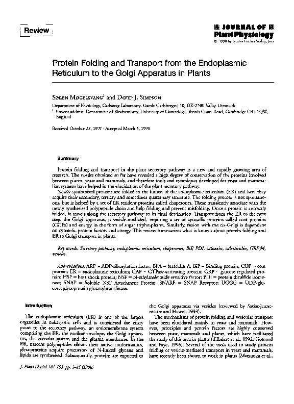(PDF) Protein Folding and Transport from the Endoplasmic Reticulum to ...