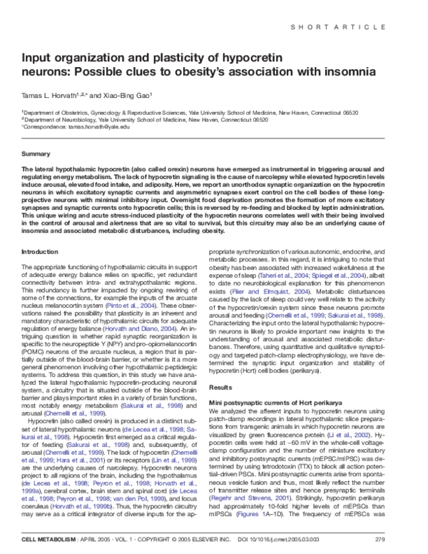 (PDF) Input organization and plasticity of hypocretin neurons