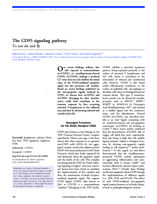 (PDF) The CD95 signaling pathway