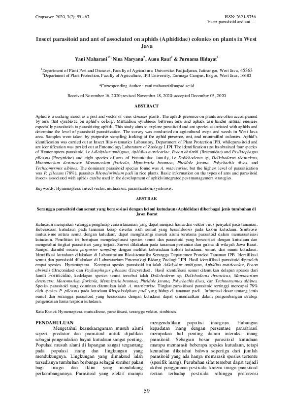 (PDF) Insect parasitoid and ant of associated on aphids (Aphididae ...