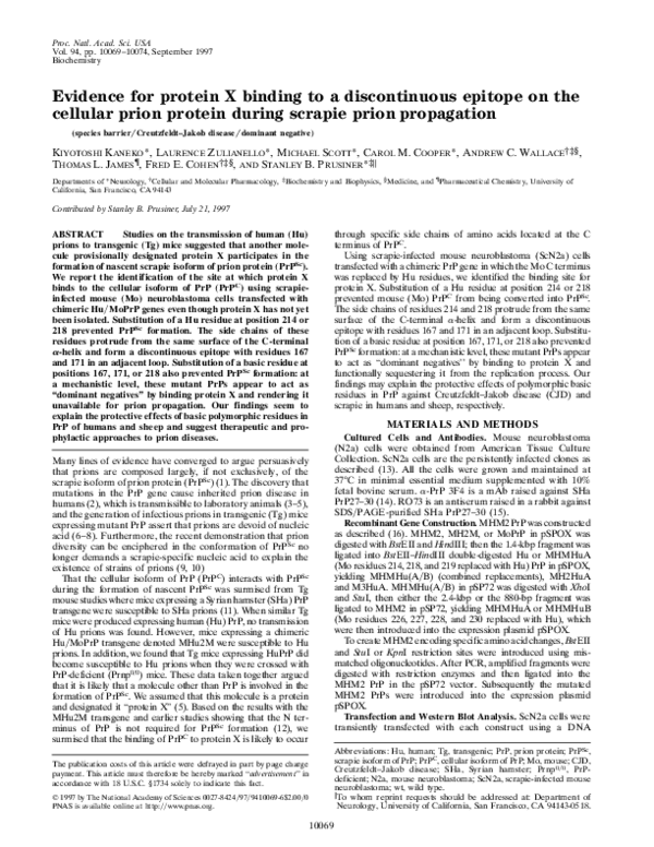 (PDF) Evidence for protein X binding to a discontinuous epitope on the ...