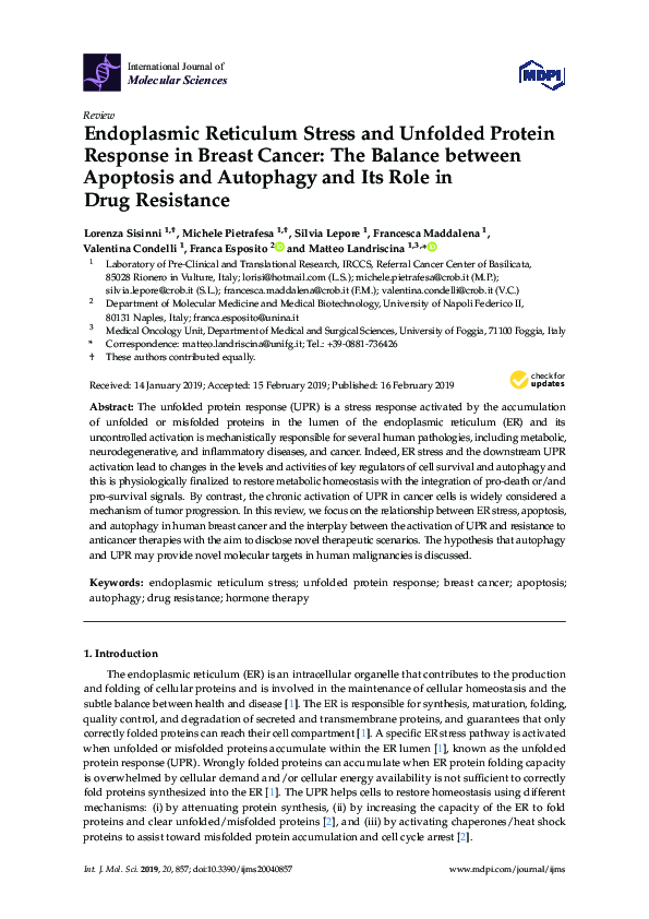 (PDF) Endoplasmic Reticulum Stress and Unfolded Protein Response in ...