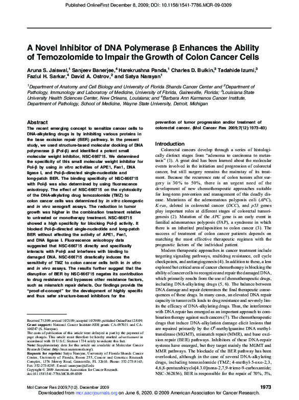 (PDF) A Novel Inhibitor of DNA Polymerase Enhances the Ability of ...