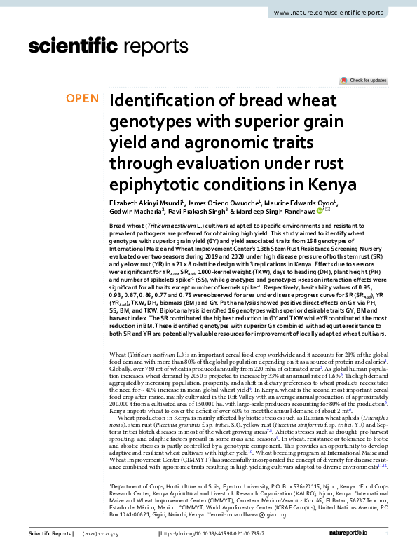 (PDF) Identification of bread wheat genotypes with superior grain yield ...