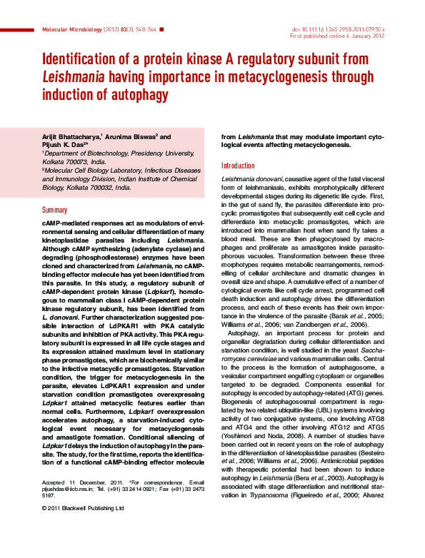 (PDF) Identification of a protein kinase A regulatory subunit from ...