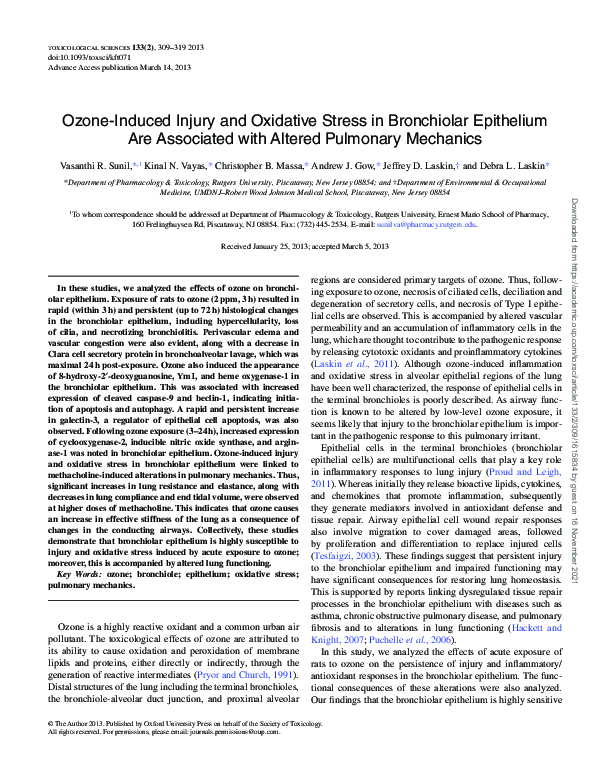 (PDF) Ozone-Induced Injury and Oxidative Stress in Bronchiolar ...