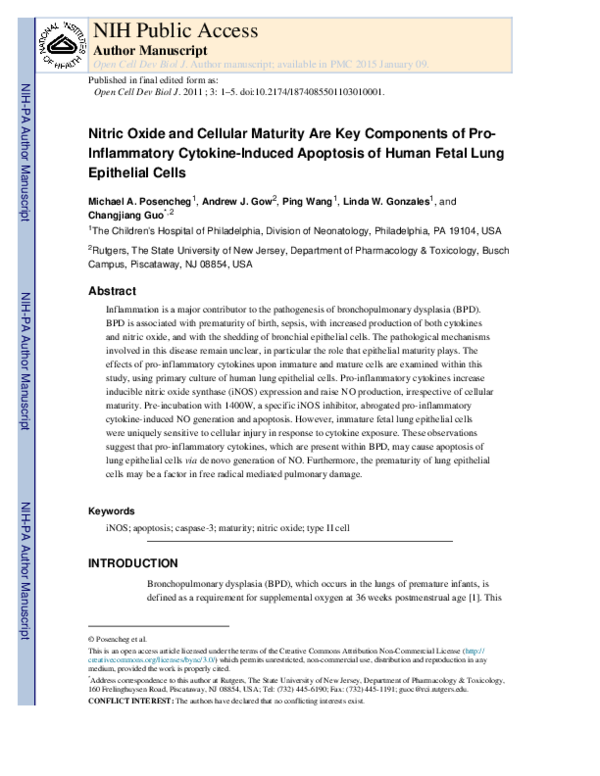 (PDF) Nitric Oxide and Cellular Maturity Are Key Components of Pro ...