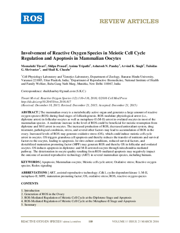 (PDF) Involvement of Reactive Oxygen Species in Meiotic Cell Cycle ...