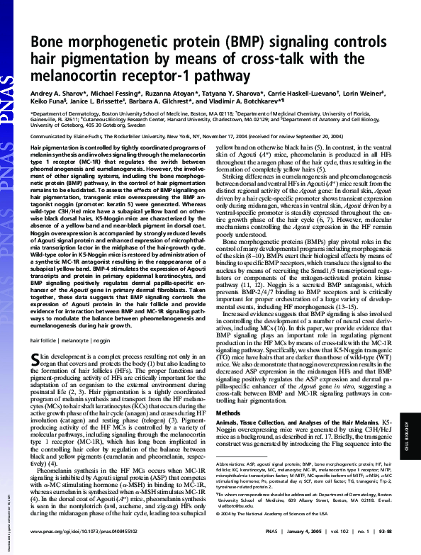 (PDF) Bone morphogenetic protein (BMP) signaling controls hair ...