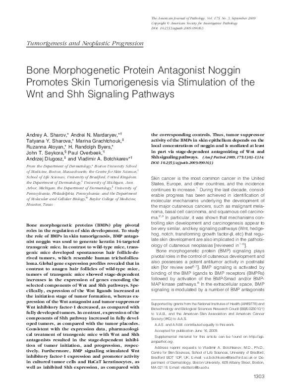 (PDF) Bone Morphogenetic Protein Antagonist Noggin Promotes Skin ...