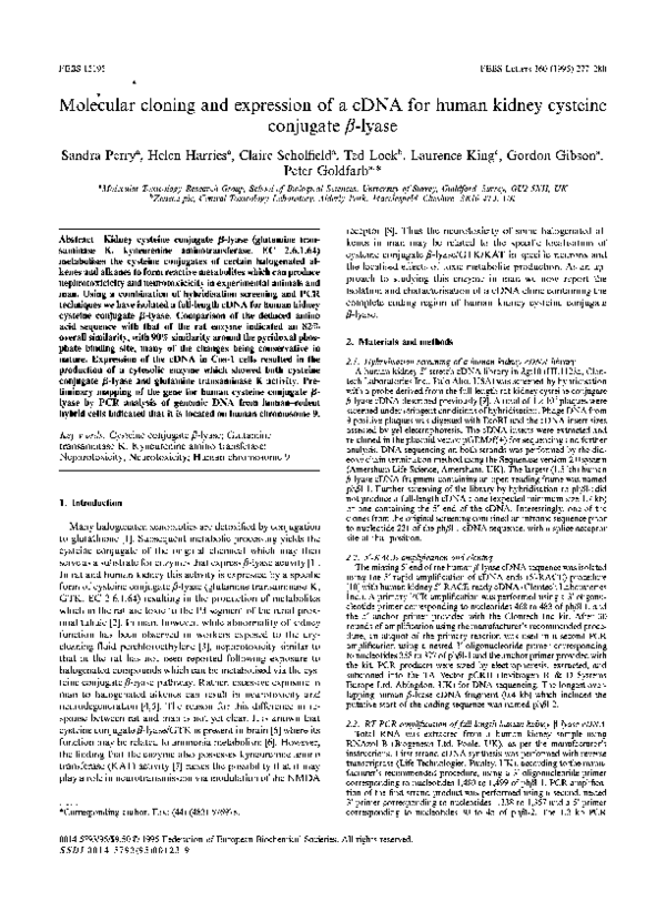 (PDF) Molecular cloning and expression of a cDNA for human kidney ...