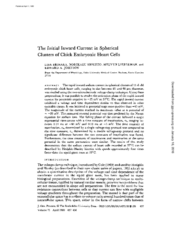 (PDF) The initial inward current in spherical clusters of chick ...