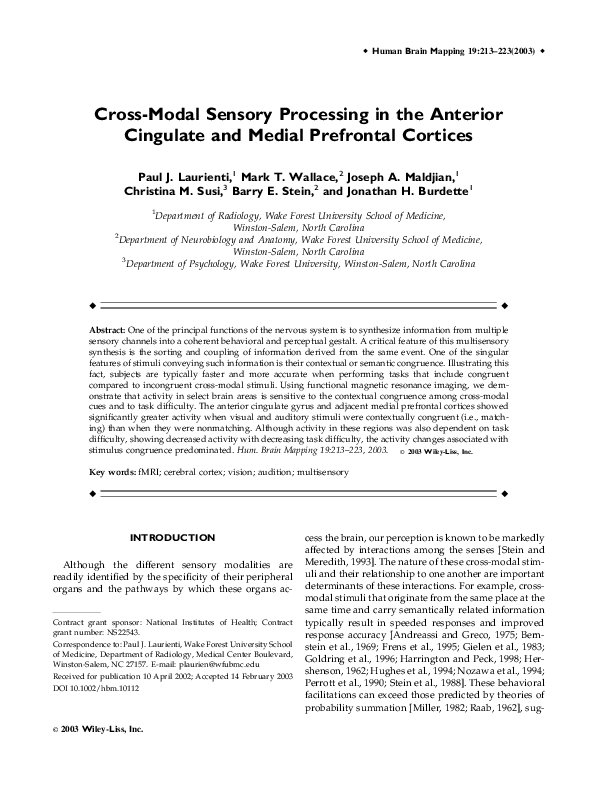 Cross Modal Sensory Processing