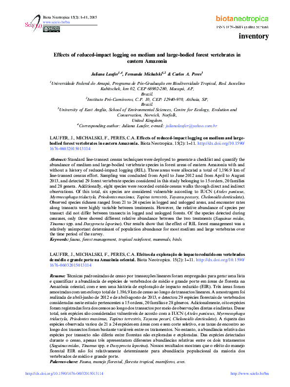 (PDF) Effects of reduced-impact logging on medium and large-bodied ...