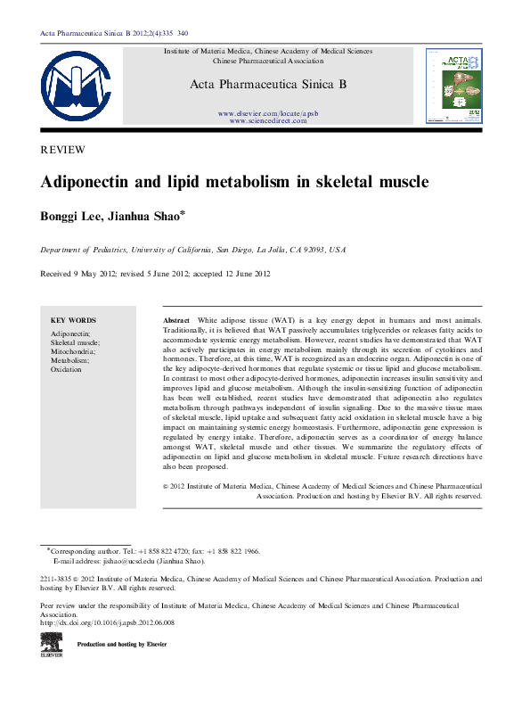 (PDF) Adiponectin and lipid metabolism in skeletal muscle