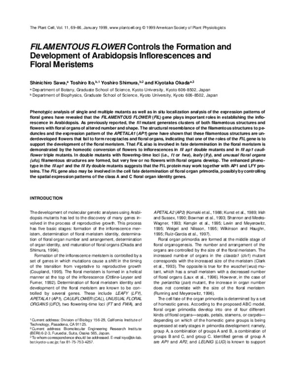 (PDF) FILAMENTOUS FLOWER Controls the Formation and Development of ...