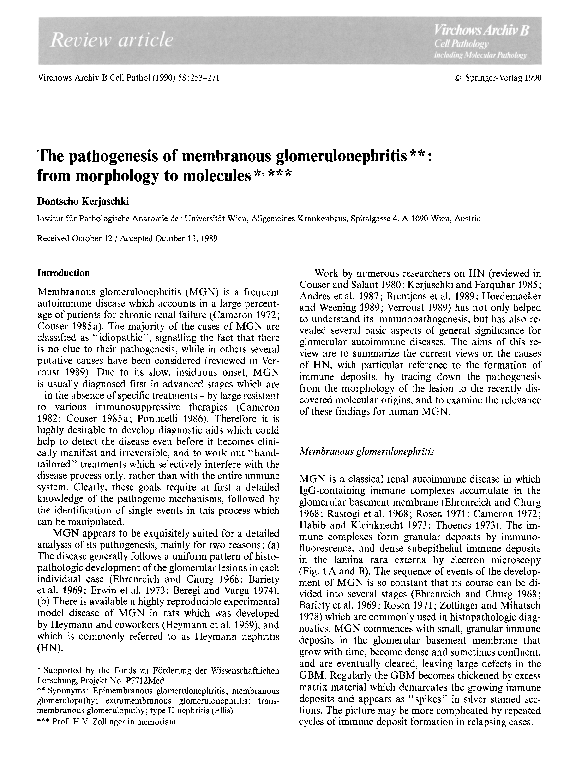 (PDF) The pathogenesis of membranous glomerulonephritis from morphology ...