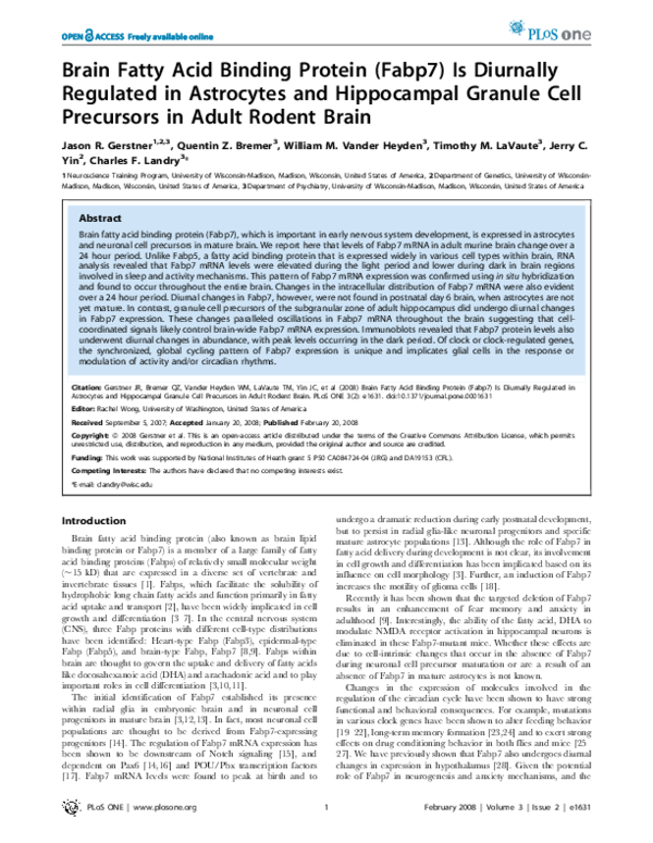 (PDF) Brain fatty acid binding protein (Fabp7) is diurnally regulated ...