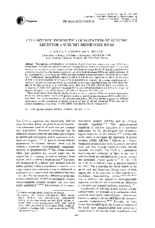 (PDF) Cell-specific dendritic localization of glycine receptor α ...