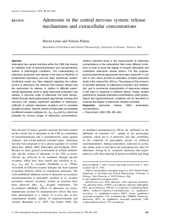 (PDF) Adenosine in the central nervous system: release mechanisms and ...
