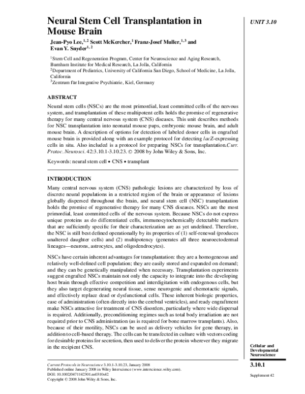 (PDF) Neural Stem Cell Transplantation in Mouse Brain