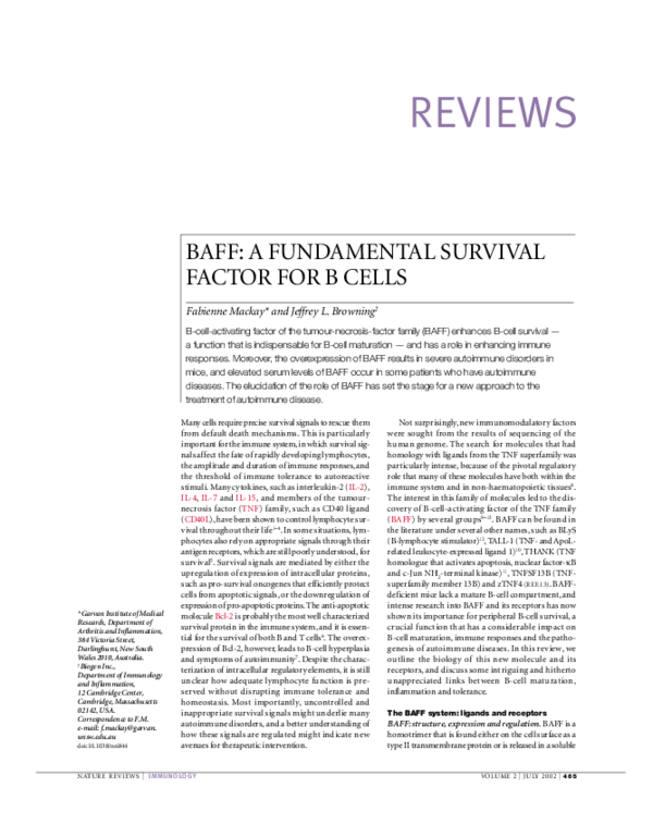 (PDF) BAFF: a fundamental survival factor for B cells
