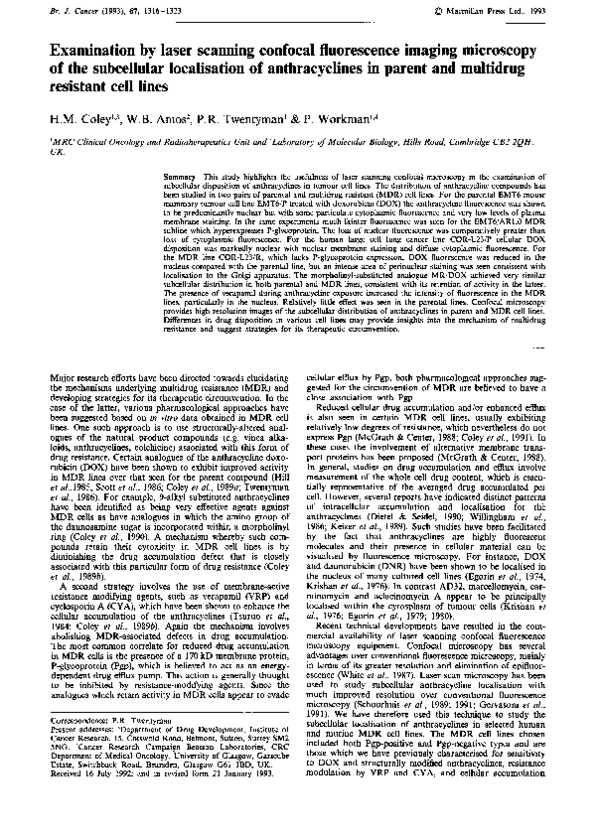 (PDF) Examination by laser scanning confocal fluorescence imaging
