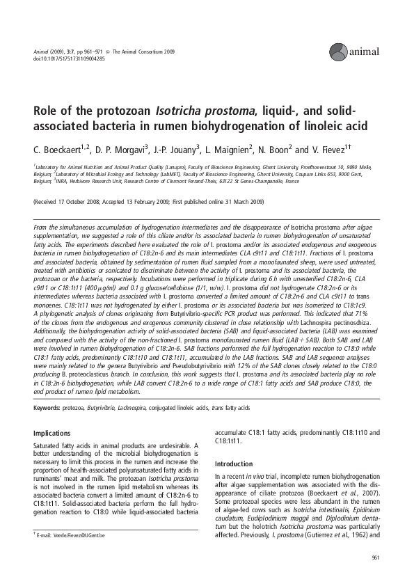 (PDF) Role of the protozoan Isotricha prostoma, liquid, and solid