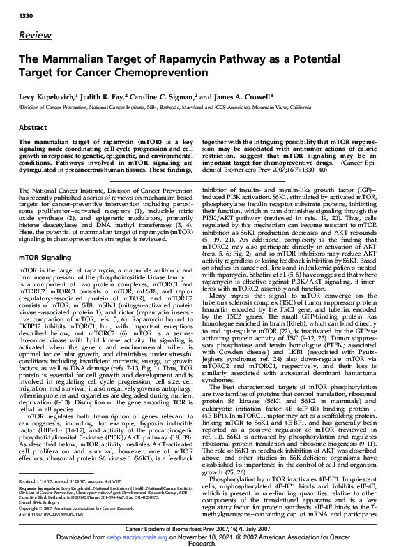 (PDF) The Mammalian Target of Rapamycin Pathway as a Potential Target ...