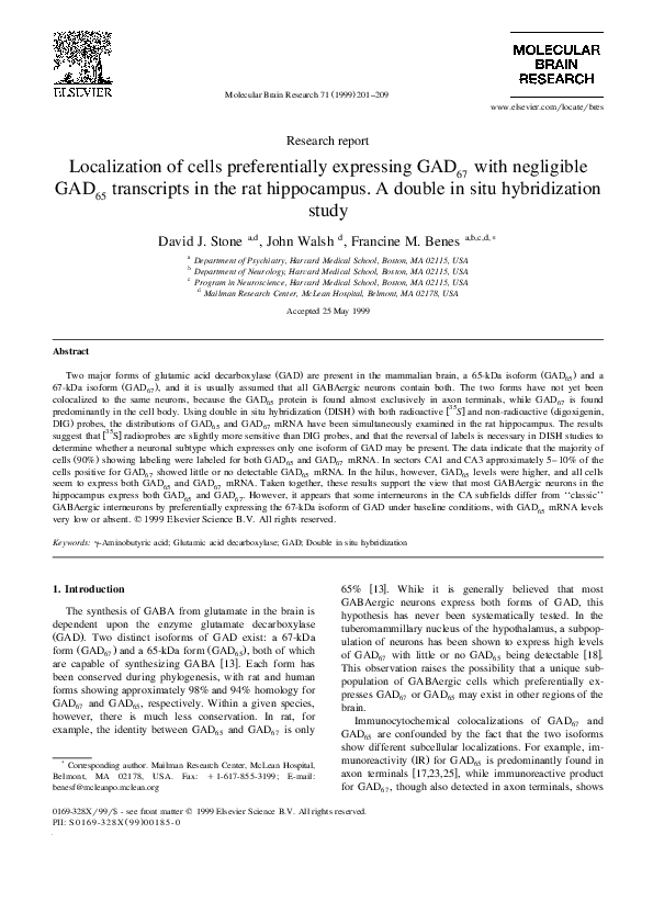 (PDF) Localization of cells preferentially expressing GAD67 with ...