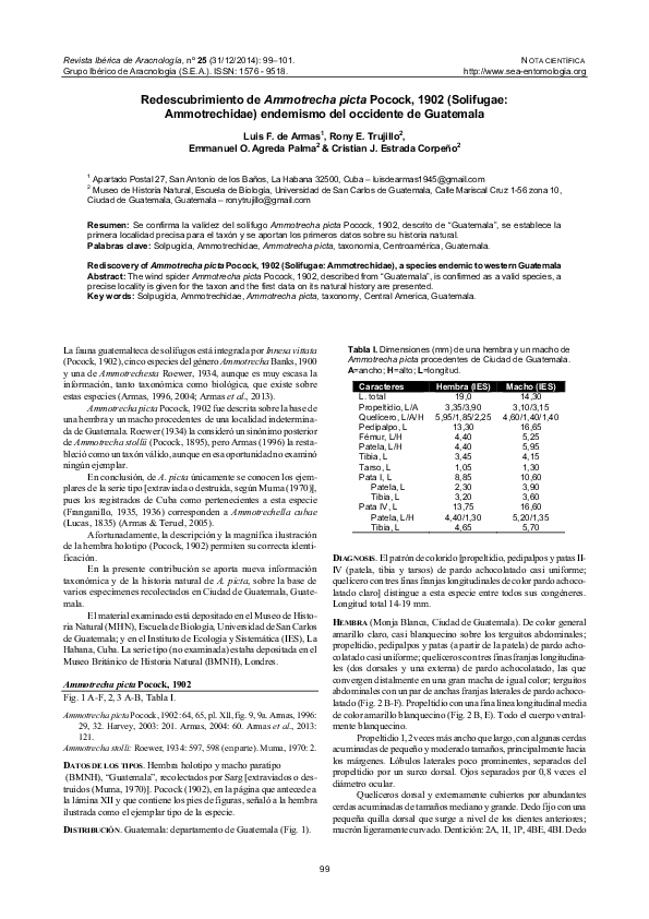 (PDF) Redescubrimiento de Ammotrecha picta Pocock, 1902 (Solifugae