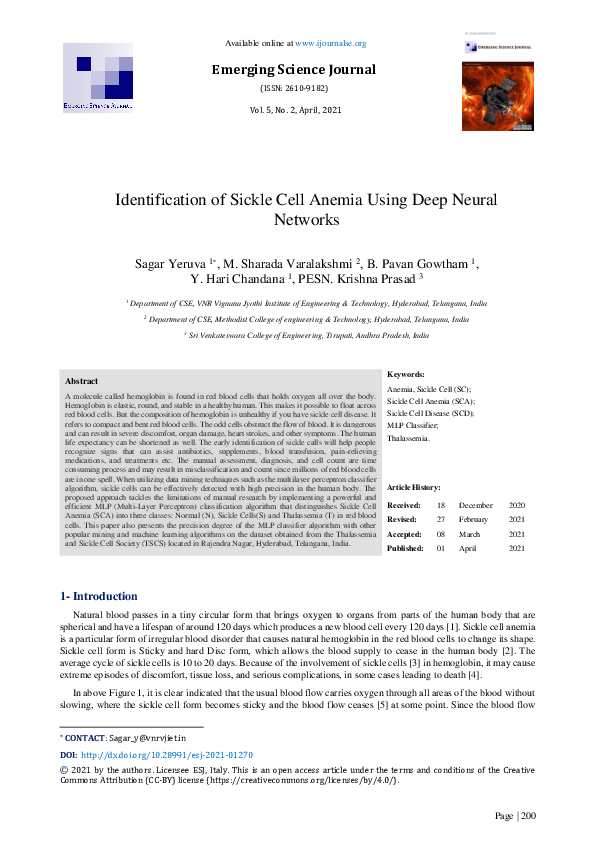(PDF) Identification of Sickle Cell Anemia Using Deep Neural Networks